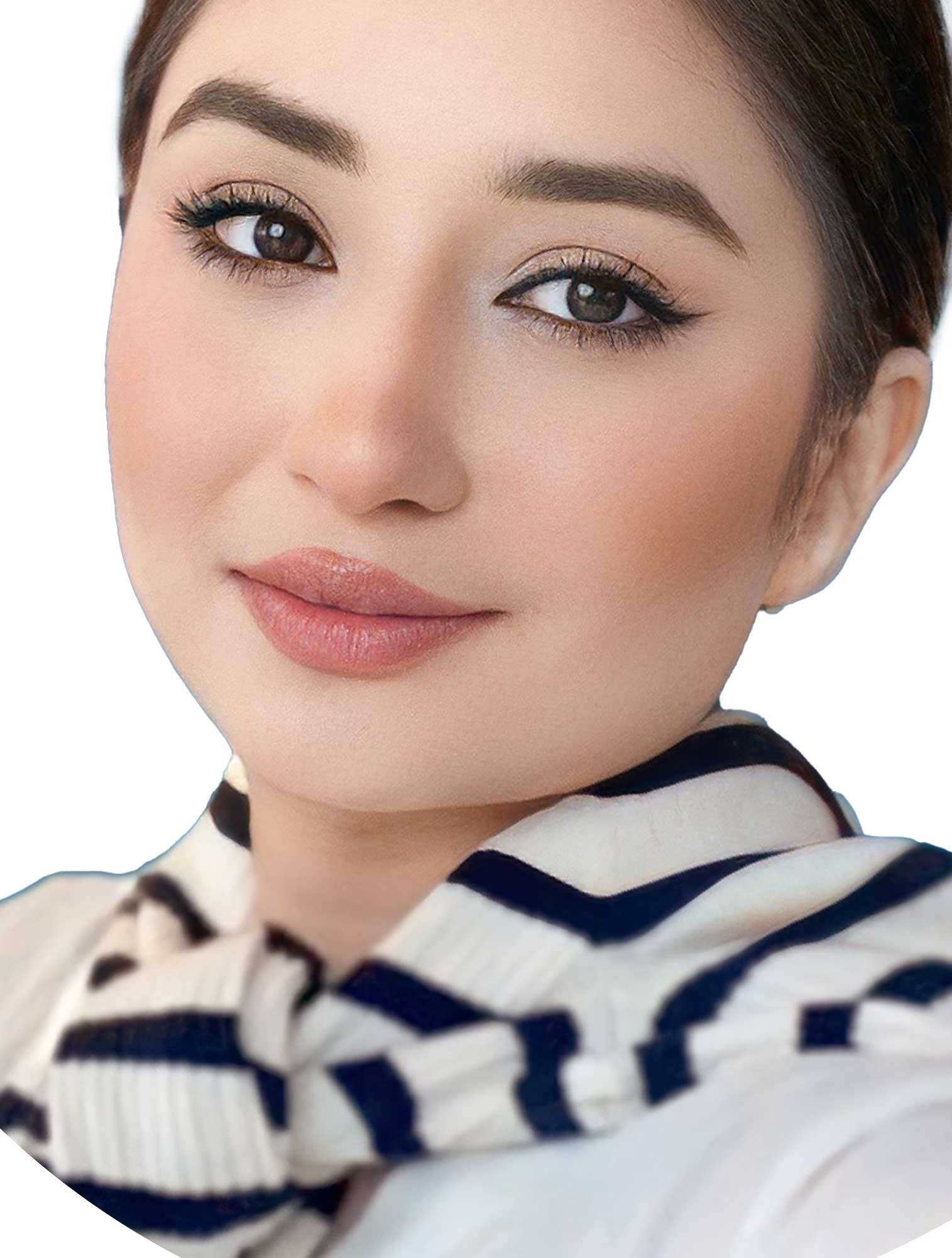 Big Slider Project Image